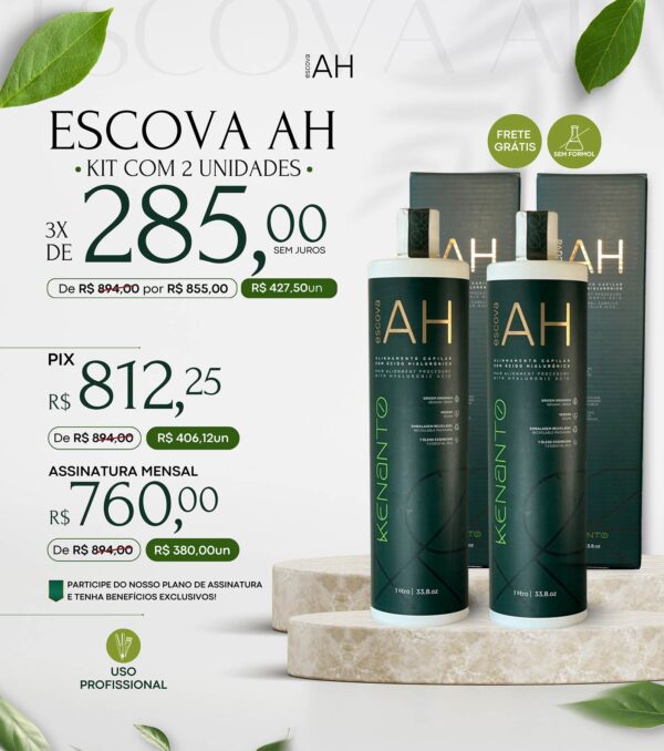 Kit com 2 Escova AH